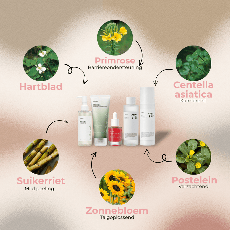 Anua | Komplett Skincare-rutin - Glow House