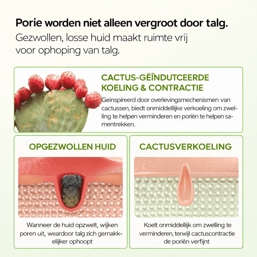 Dr. Melaxin | Cactox Pore Relief Multi Balm Stick - Glow House