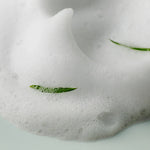 Some By Mi | AHA BHA PHA 30 Days Miracle Acne Clear Foam - Glow House